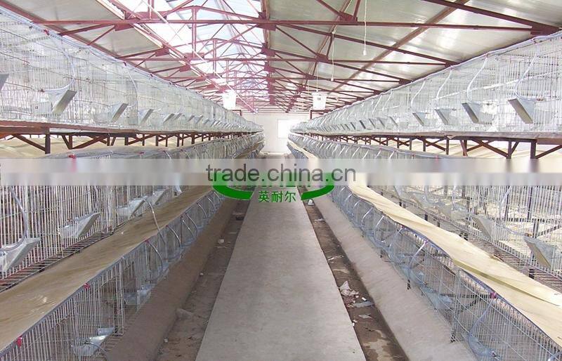 Factory Direct Sale on Alibaba 2m 3 Tier Cage Used for Rabbit