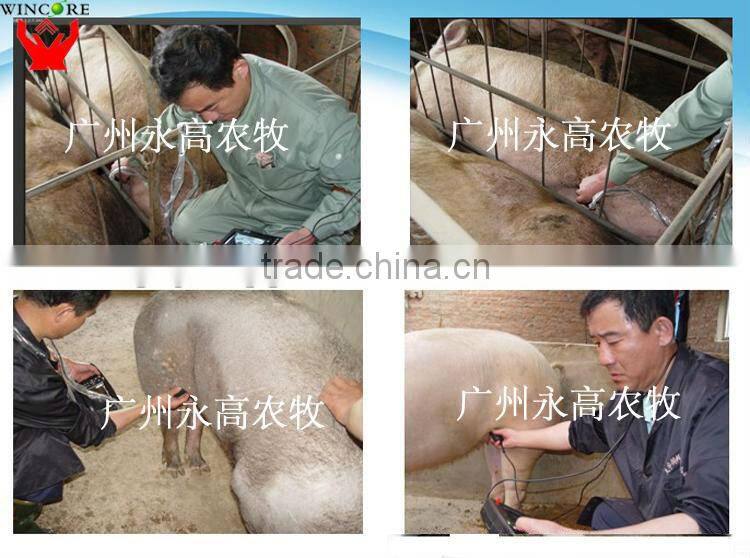 Veterinary Digital Handheld Ultrasound Scanner