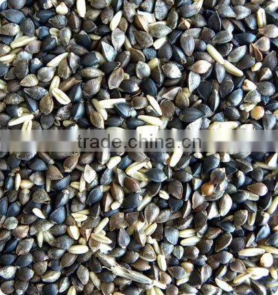 Jiexun Multifunction Wheat Color Sorter Machine