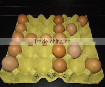 full automatic paper egg tray making machine