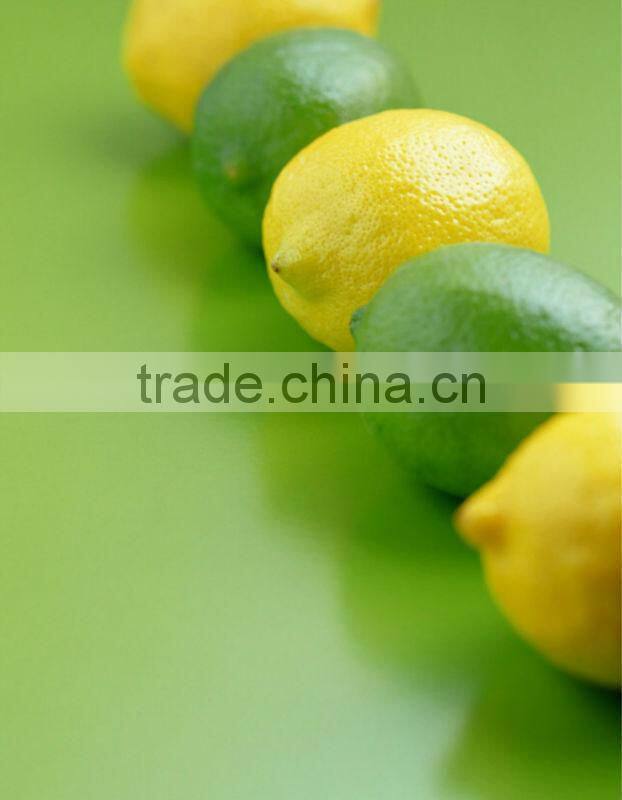 200L High Quality Orange Oil Extraction Machine on sale (EC)
