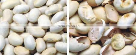 High Efficiency CCD White Kidney Bean Color Sorter Machine Grain Color Sorter