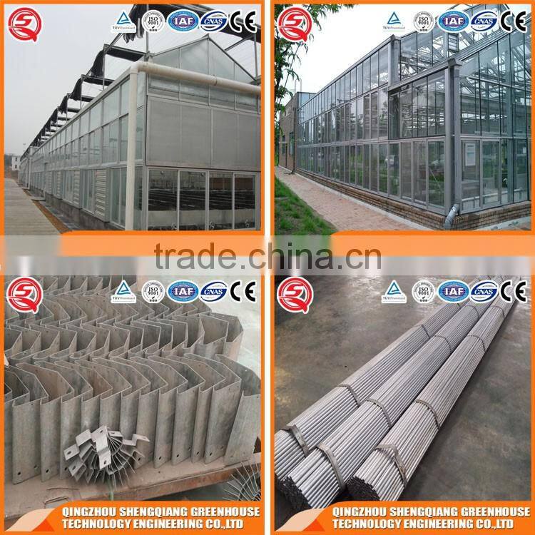 Vegetable product Venlo glass green house hydroponic system