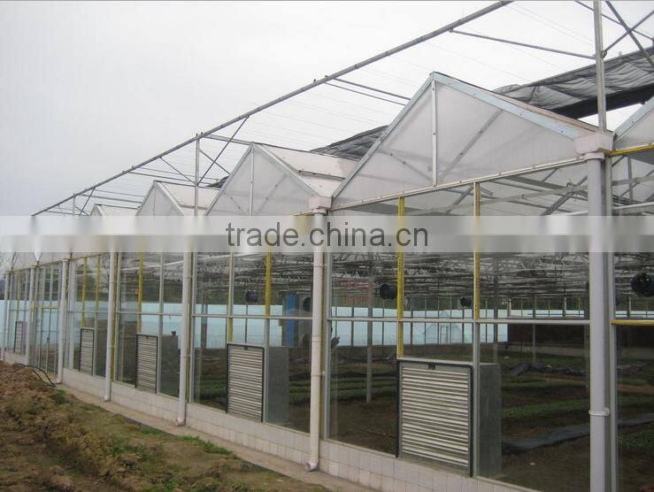 Clear tempered glass for greenhouse with factory price and CCC CE ISO
