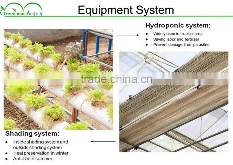 2016 Hot Sale Multi-span Plastic Commercial Hydroponic Greenhouses