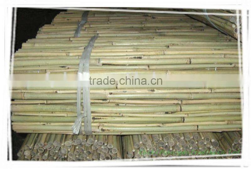 Wholesale natural straight bamboo poles