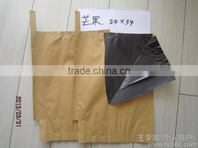 Fruit protection bag mango