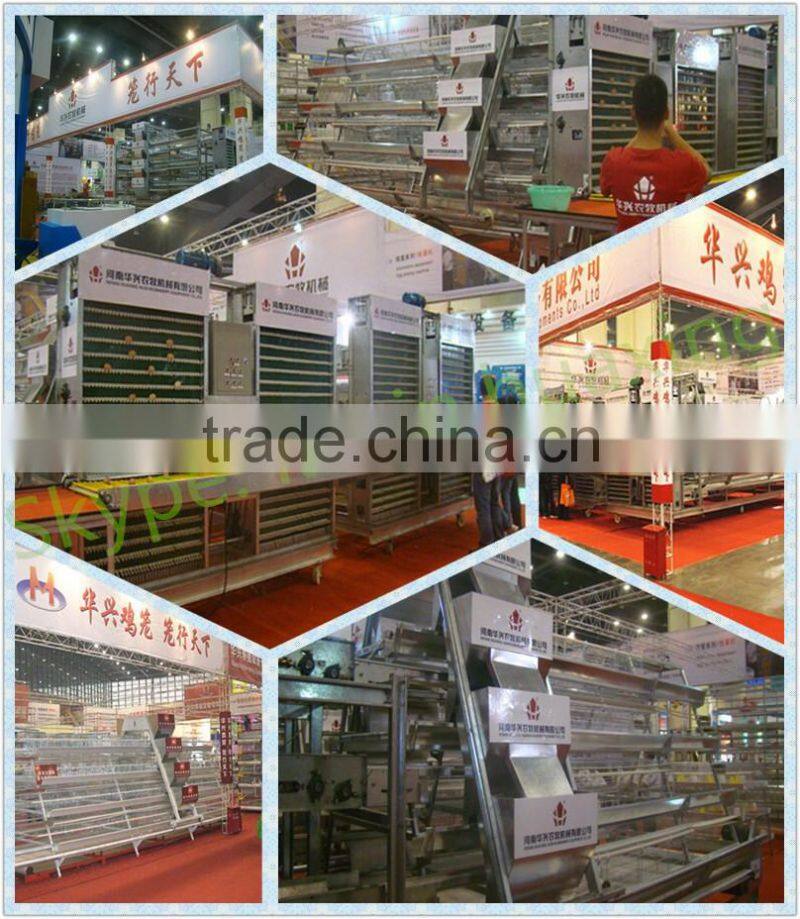 broiler battery cages with automatic system