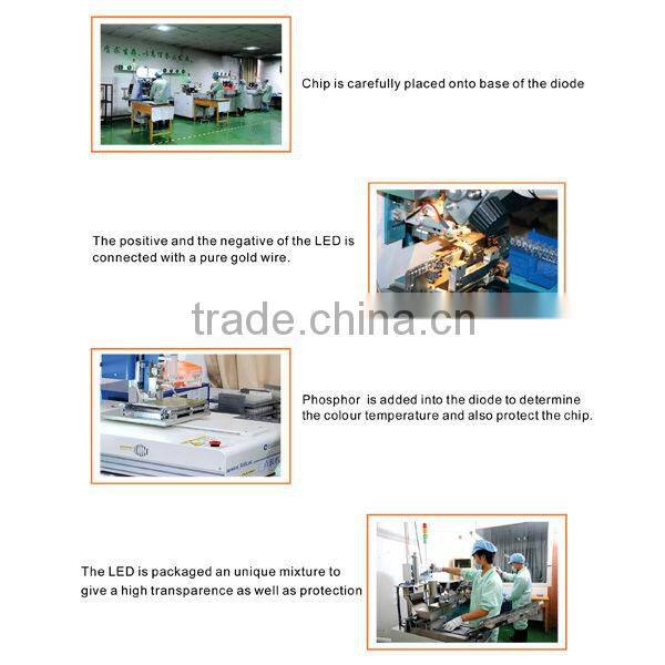 LED petrol lamps led lighting 100w with CE&RoHS singbee SP-2105A