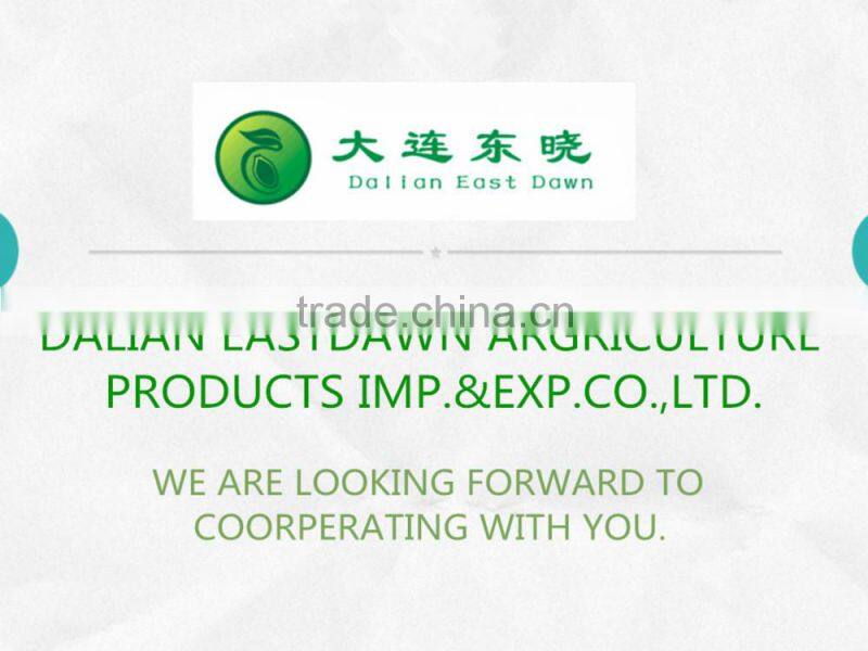 Best Selling Products Pumpkin Seeds GWS (Grown Without Shell)