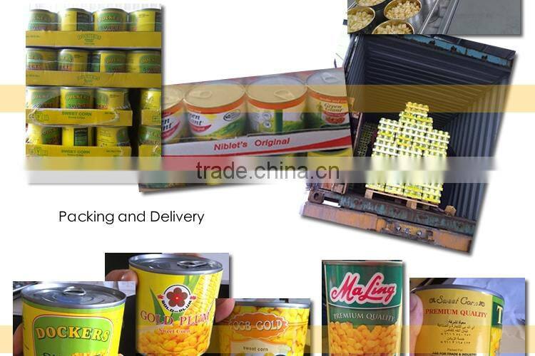 Canned sweet corn to AFRICA ECOWAS EAST AFRICA HIGH QUALITY super sweet NO GMO TAIWAN yellow corn raw material