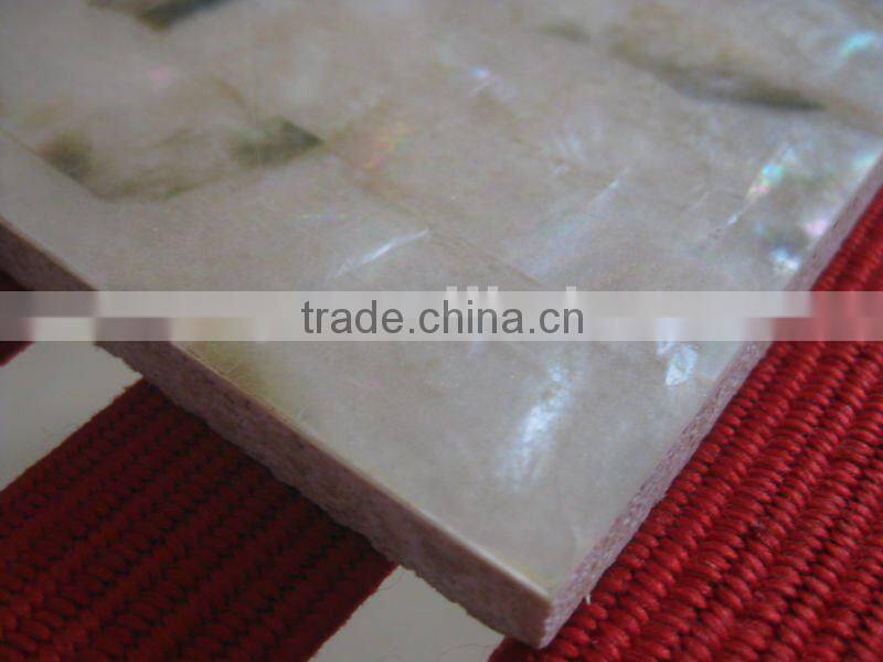 Natural mother of pearl sea shell wall tile