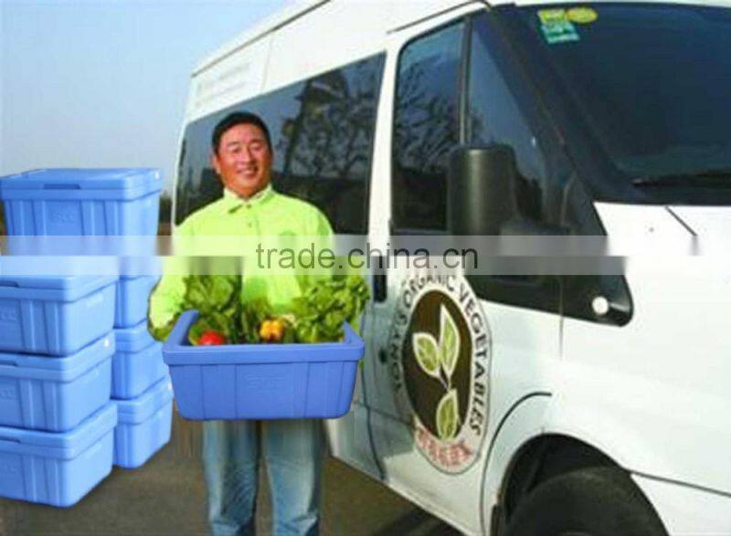 20L Plastic portable insulate ice cooler box