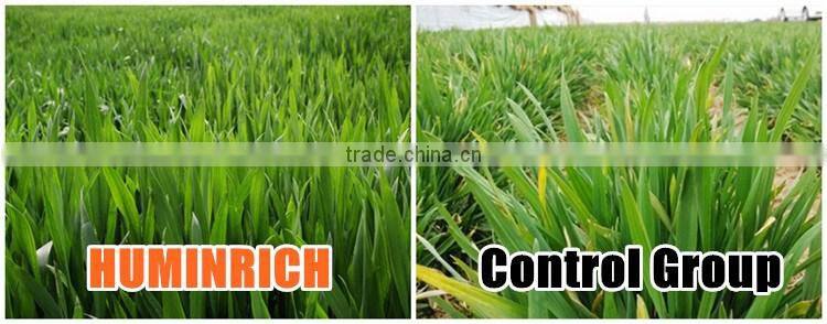 Huminrich Economic Special Fertilizer Chelation Supplements