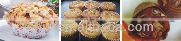 pan conveyor line of single plate ,transportation