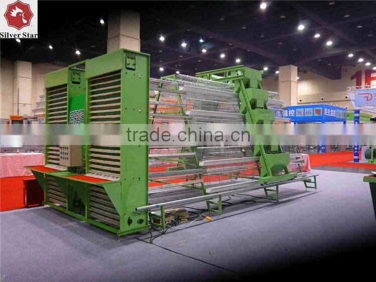 3 tier design A type ladder layer cages for chickens with scarpper manure removal system