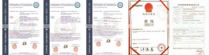 Auto Webbing Sewing Machine (Pattern Programmable) 300x200mm