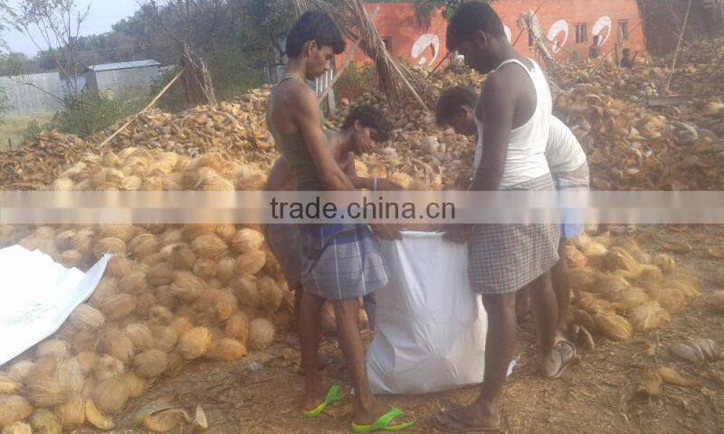 Fresh Mature Cocounts