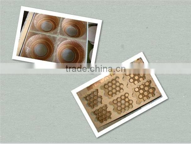 SPV700/1200ZK Plastic Egg Tray Making Machine