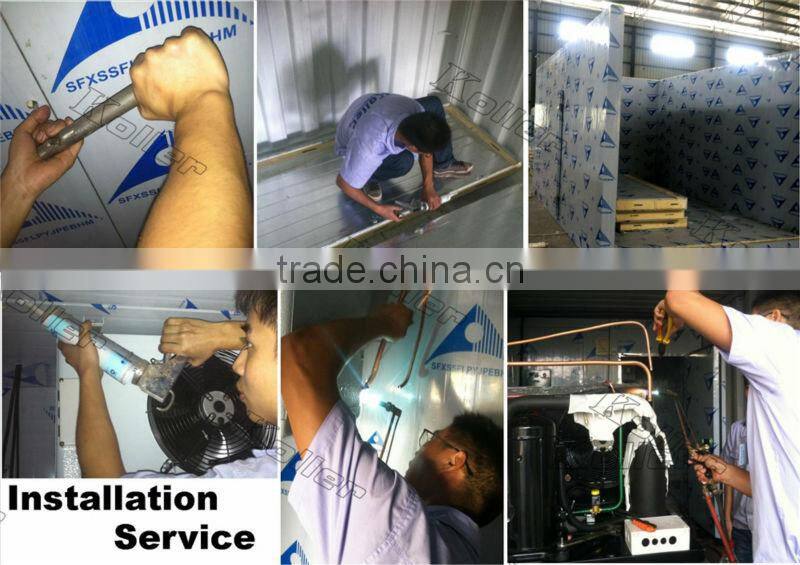 walk in Koller freezer cold room for fishery