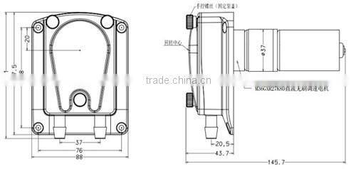 JIHPUMP 304K DC motor Beverage Machine Peristaltic Pump