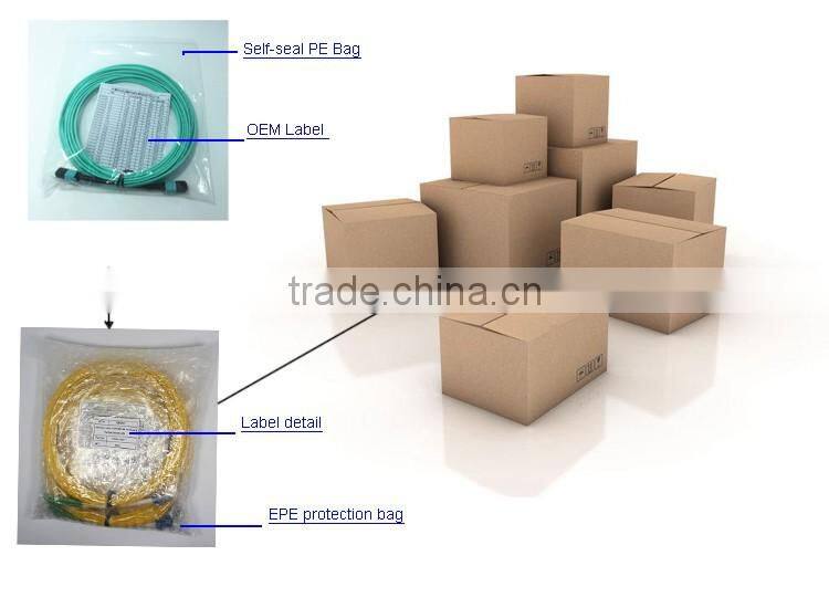 12 core breakout MPO -LC OM4 2.0mm fiber optic patch cord