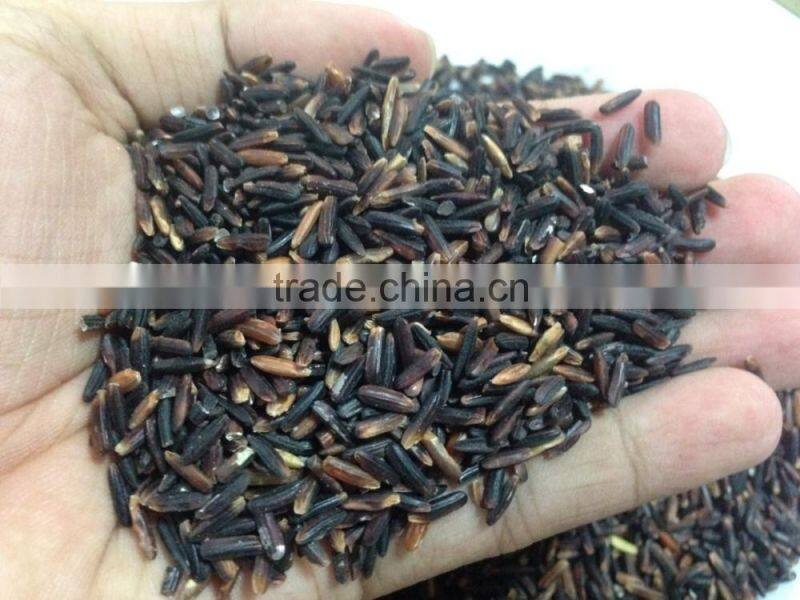 Organic Rice Berry from Thailand OEM