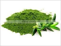 Ghritkumari Powder Indian herbs pure Natural