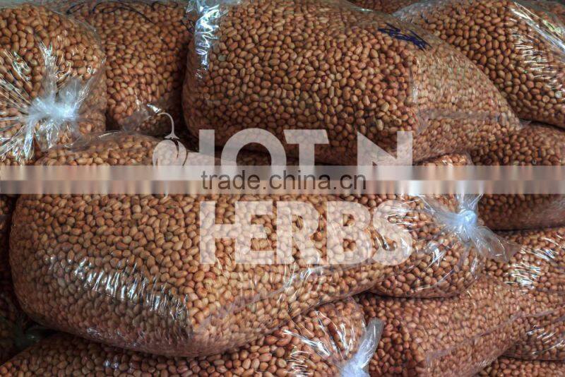 Most Trusted Dealer Supplying Organic Raw Peanuts at Leading Market Rate