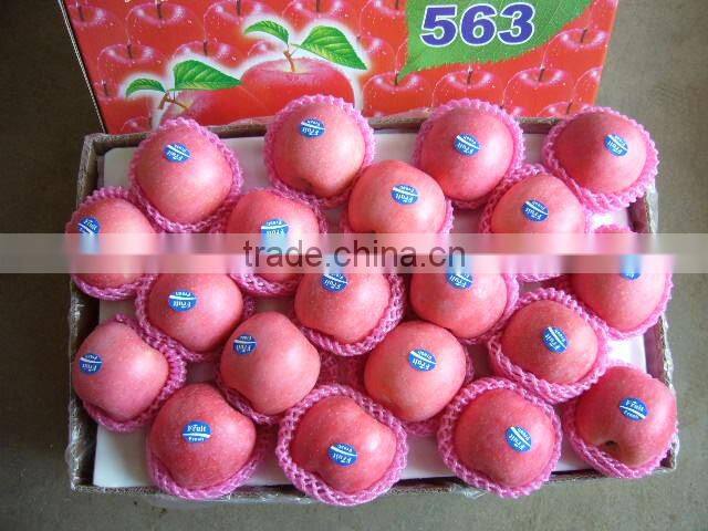 Fresh Grade A Gold apples / CLASS 1 HOT SALES