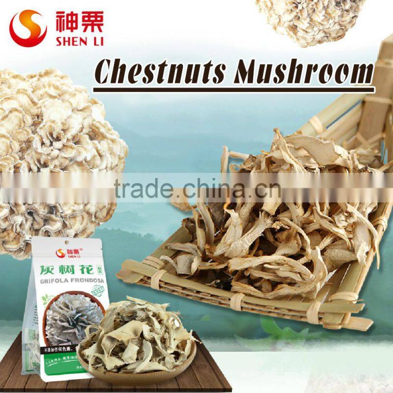 Chestnut Mushroom Grifola frondosa cooking to eat