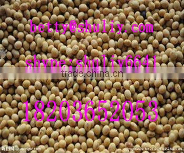 hydraulic coconut oil expeller/peanut oil extracting machine/olive oil press machine//0086-18203652053