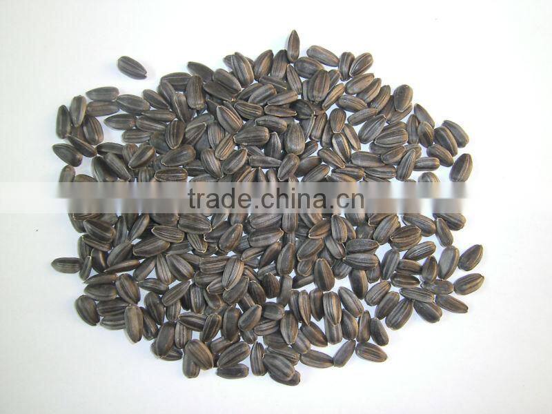 Promotion Small Size High Oil Content Sunflower Seeds New Crop