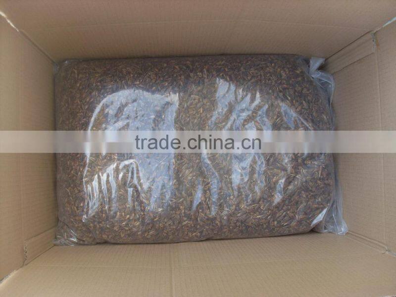 Dry cricket fish food