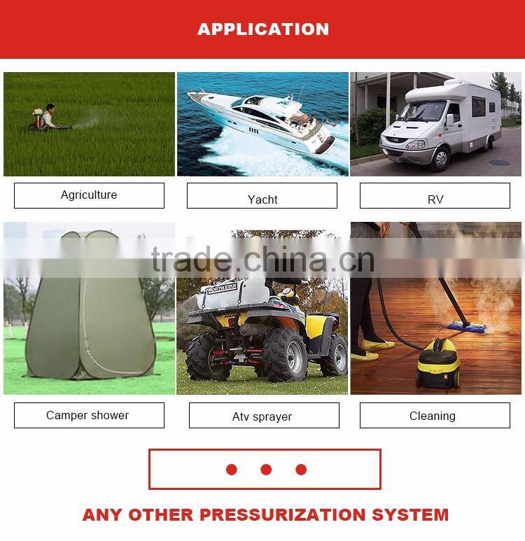 Singflo 12v 24v dc 35--70PSI water pump with commercial kitchen faucet / China faucet factory