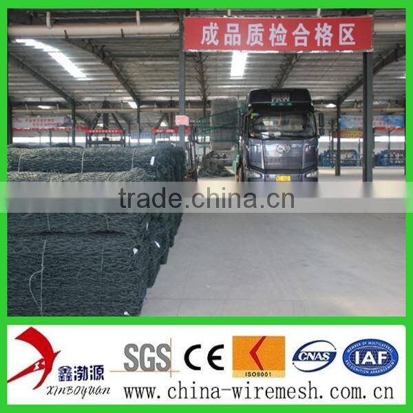pvc hexagonal netting mesh/hexagonal mesh