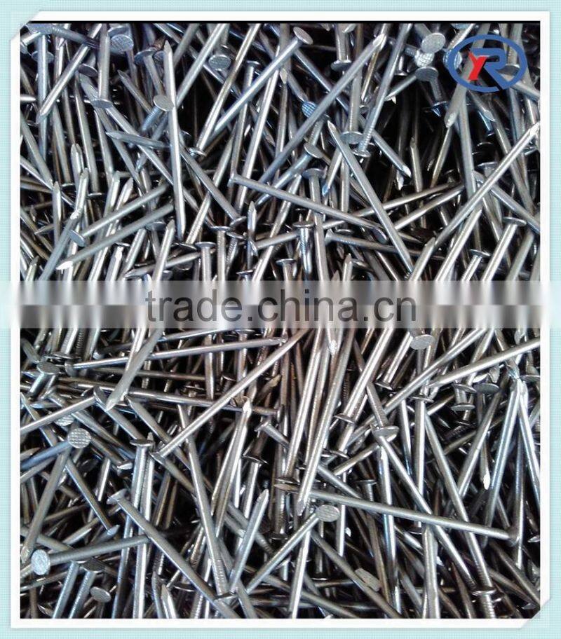 cheap price polishing Common Nails/Common Wire Nails made in china