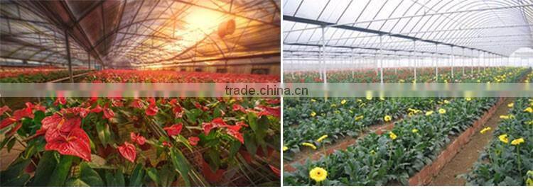Professional mushroom greenhouse pe surface protective film