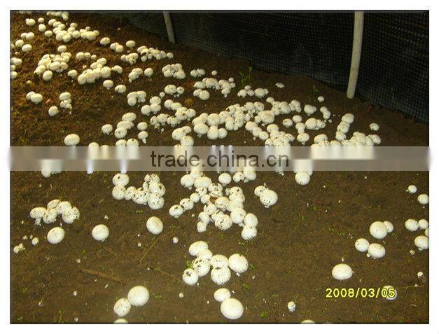 3-layer woven 200 micron 5-year use life and UV stabilized 100% HDPE plastic green houses film for agriculture mushroom used