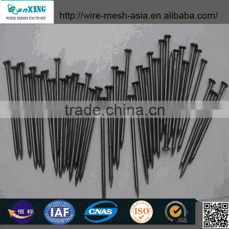 polish concrete nail for construction common nail