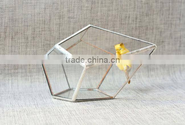 Pyramid shaped glass terrarium for indoor plant holder