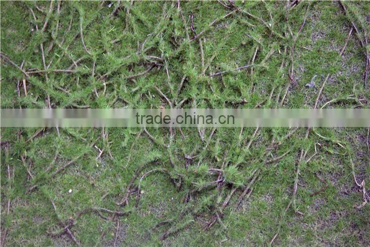 man made thick moss carpet moss foam products flocking wall