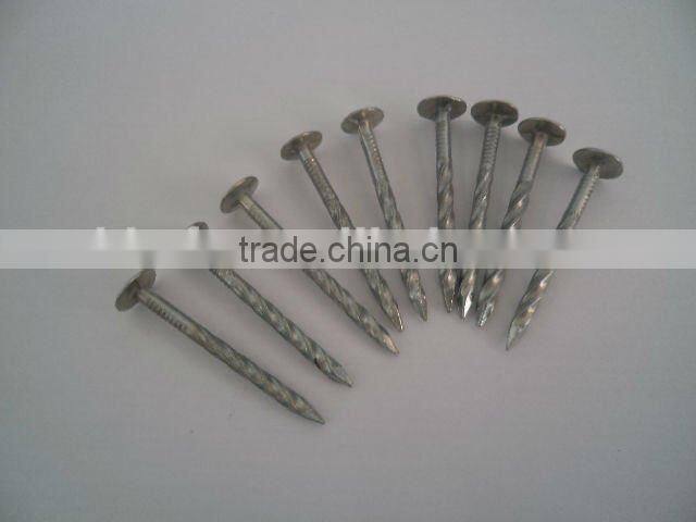 concrete nail on sale supplier on hot sale
