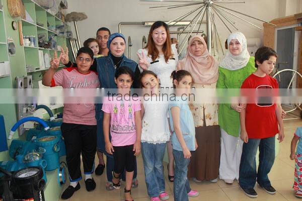 farin frared 4 person solid wood cabin 3kw stream sauna room