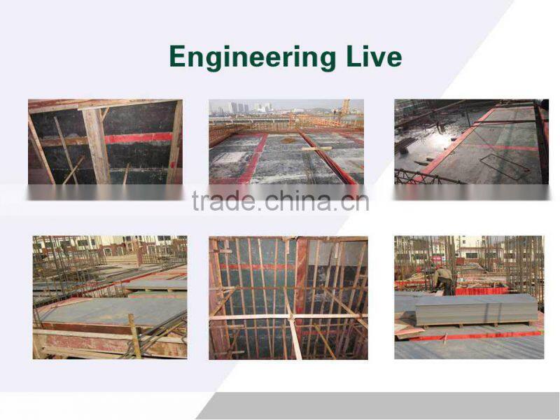 PP formwork Construction Shuttering Cheap building material