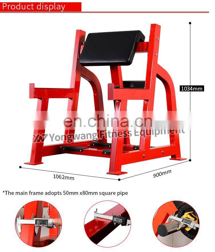dezhou gym equipment biceps curl arm curl