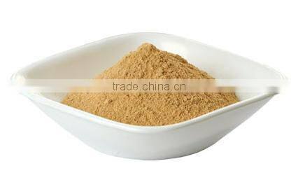 Fine Quality Amla Powder Manufacturer