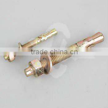 stainless steel Hex head expansion bolt
