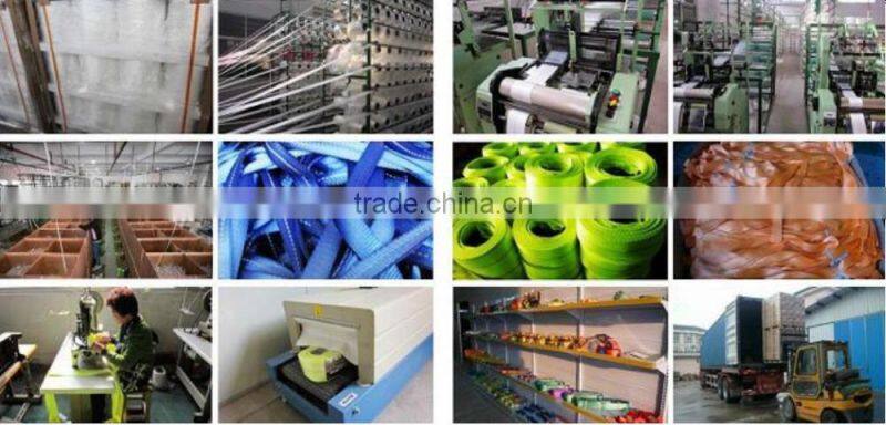 Light Lifting Equipment Polyester Webbing
