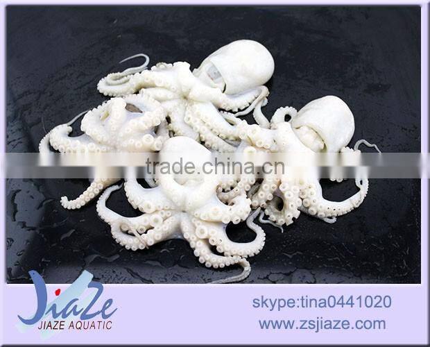 frozen baby octopus whole cleaned
